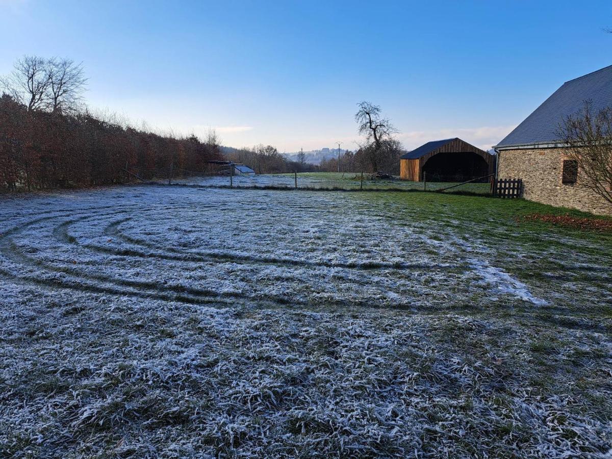 Gite L'Olivier A Filly - Nadrin, Entre Houffalize Et La Roche-En-Ardenne Dış mekan fotoğraf