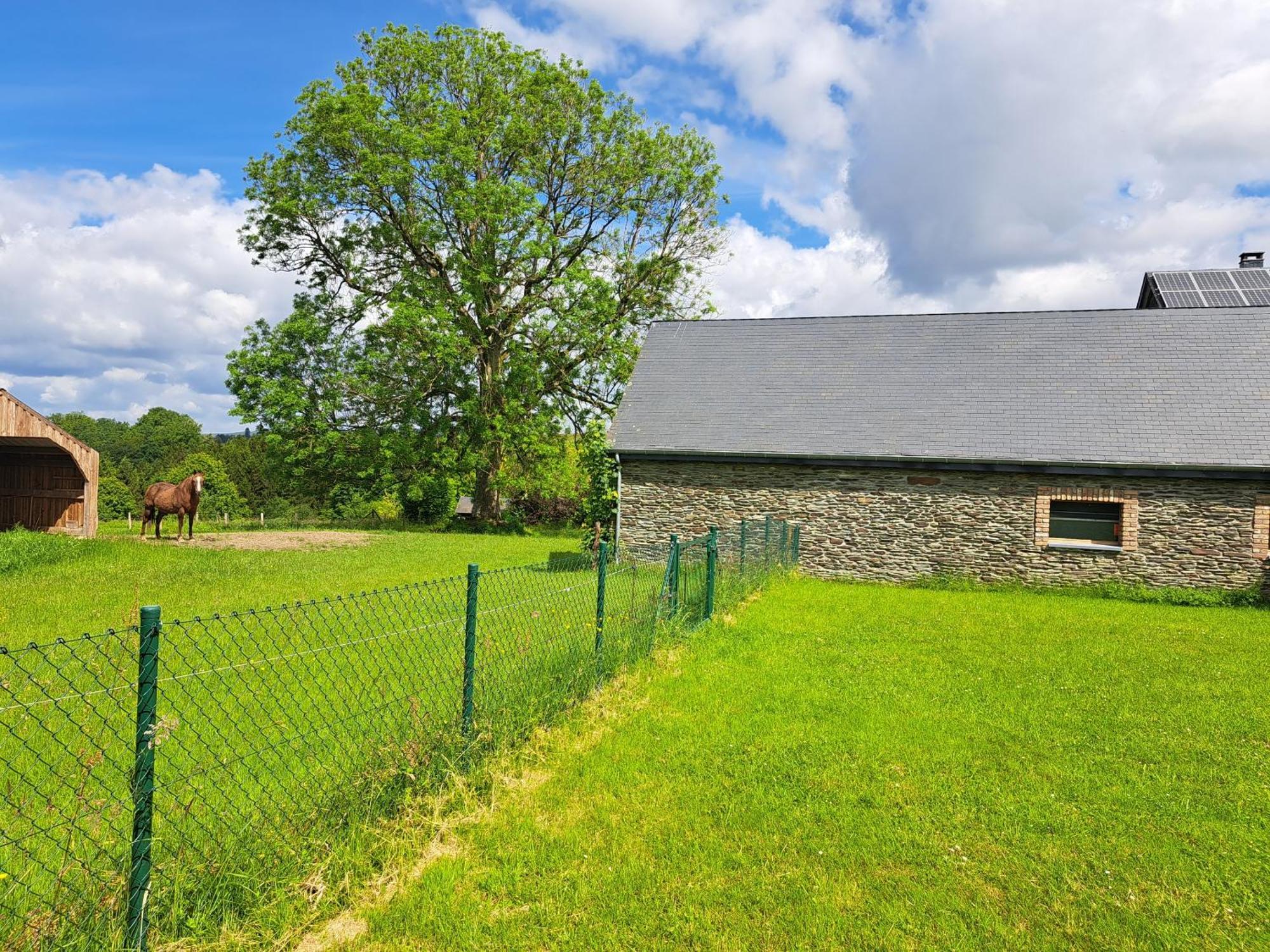 Gite L'Olivier A Filly - Nadrin, Entre Houffalize Et La Roche-En-Ardenne Dış mekan fotoğraf